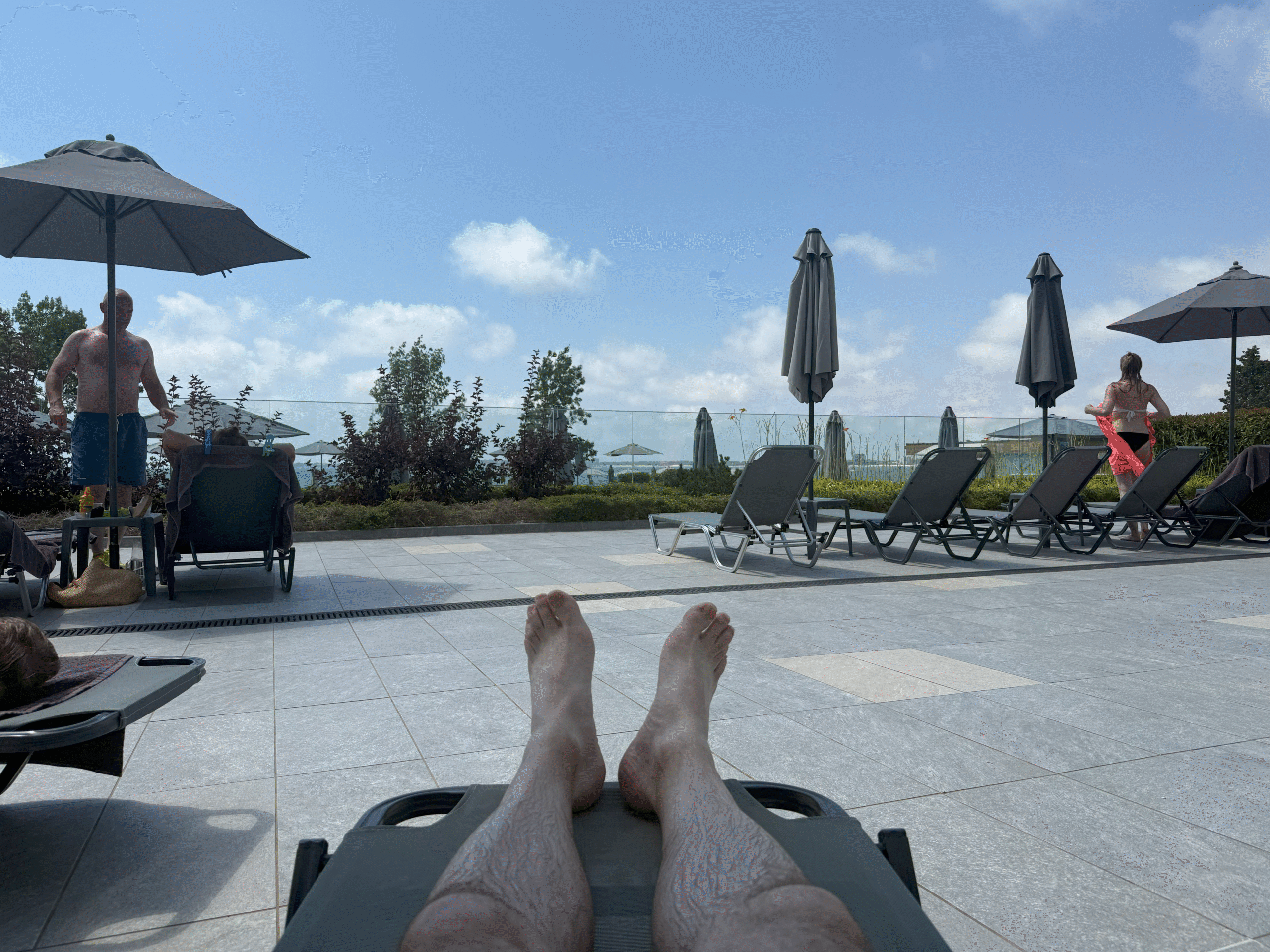 Holiday 2025 – Daily Pic